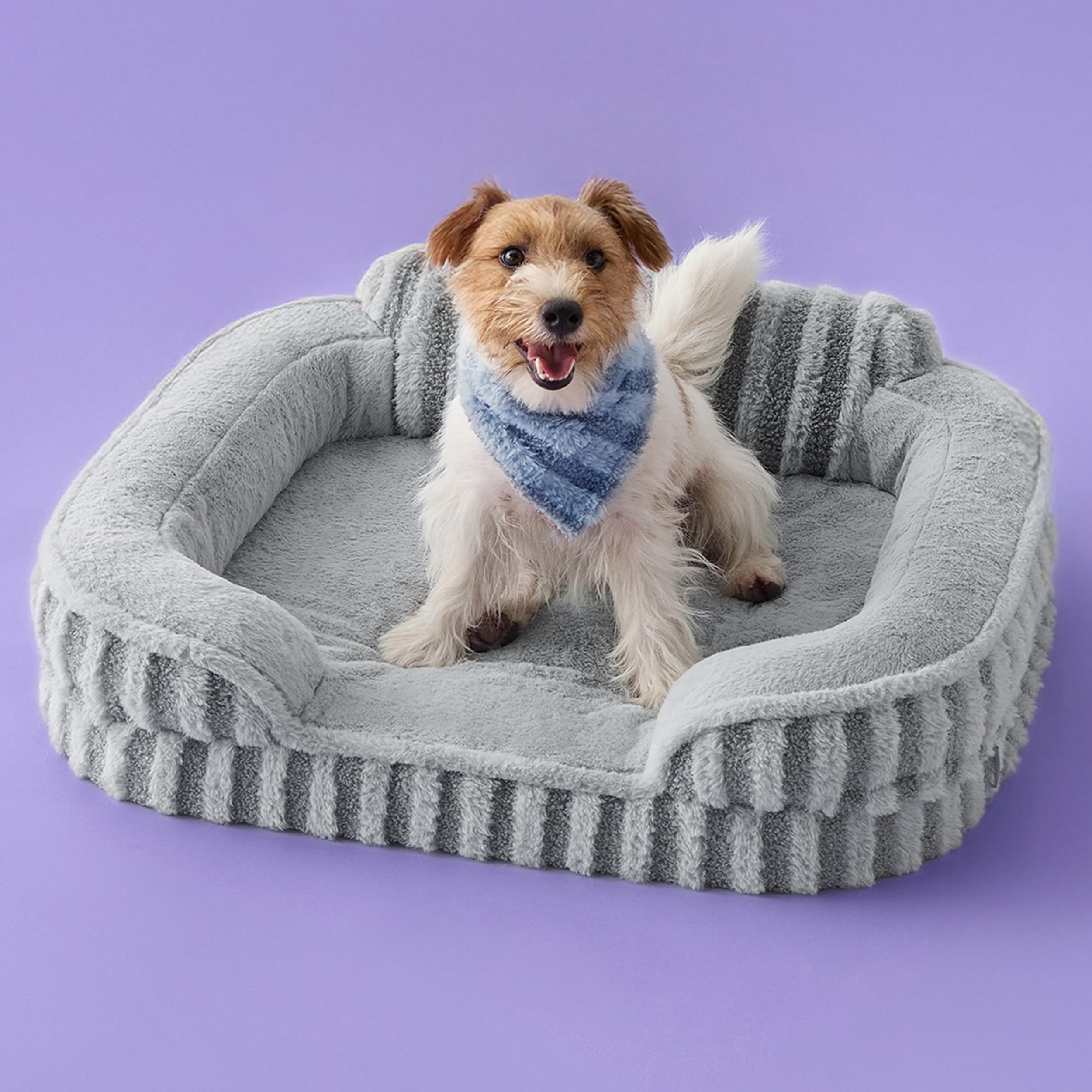 LE SURE Cute Dog Bed Medium Size Dog Orthopedic Waterproof Medium Pet Beds with Sides High Back Non-Slip