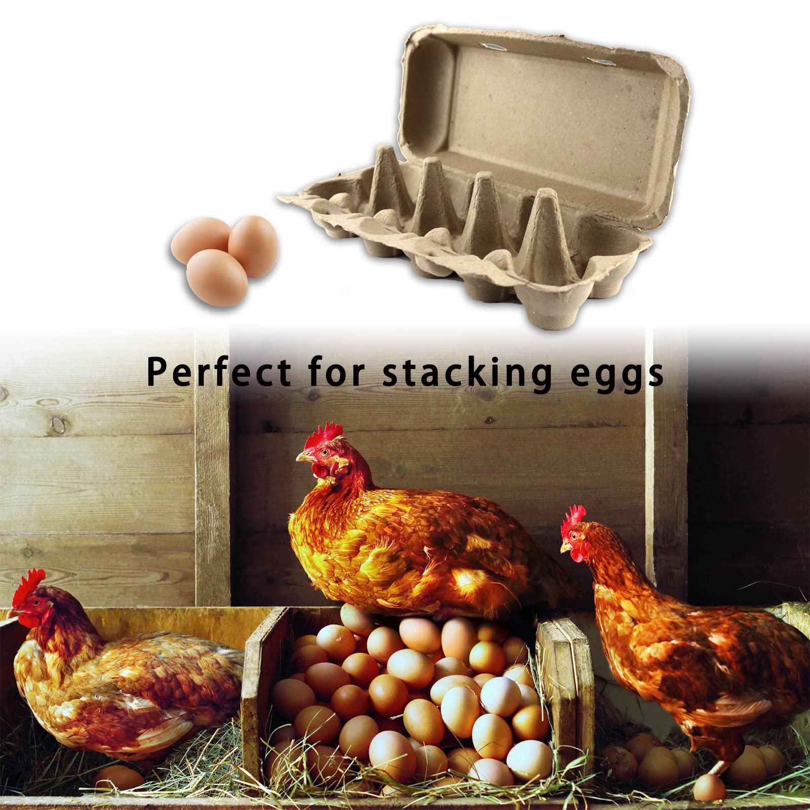 Boîtes à Œufs en Carton Boîte à Oeufs pour 10 Œufs Boîte à Œuf pour Grands | 10Pcs Boîte à Œufs en Carton de Protection | Pour 10 Grands Œufs | Pour Transport et Stockage Cuisine et Ferme