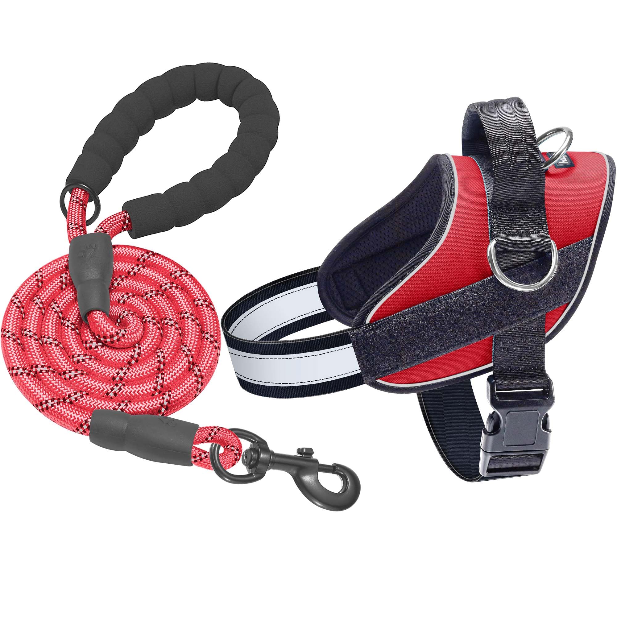 Haapaw Essential Dog Harness, No Pull Pet Vest with 3 Leash Clips, No Choke, Reflective, Adjustable and Padded, for Easy Walking and Training for