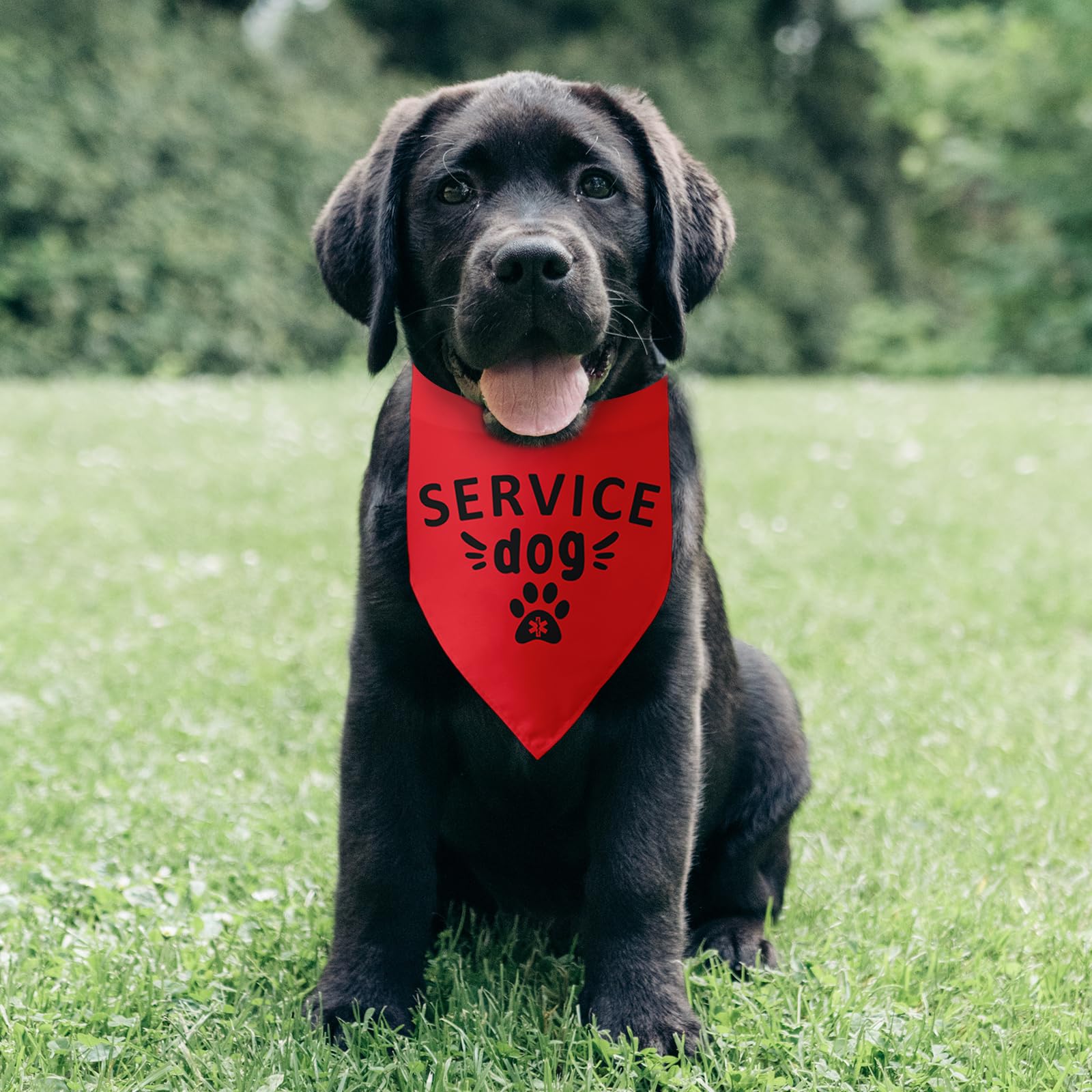 Funny "Service Dog" Red Triangle Bandana For Small/Medium Dogs - Adjustable Pet Scarf