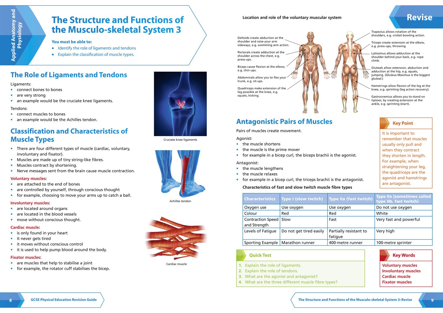 Collins GCSE Revision and Practice: New 2016 Curriculum – GCSE Physical Education: All-in-one Revision and Practice