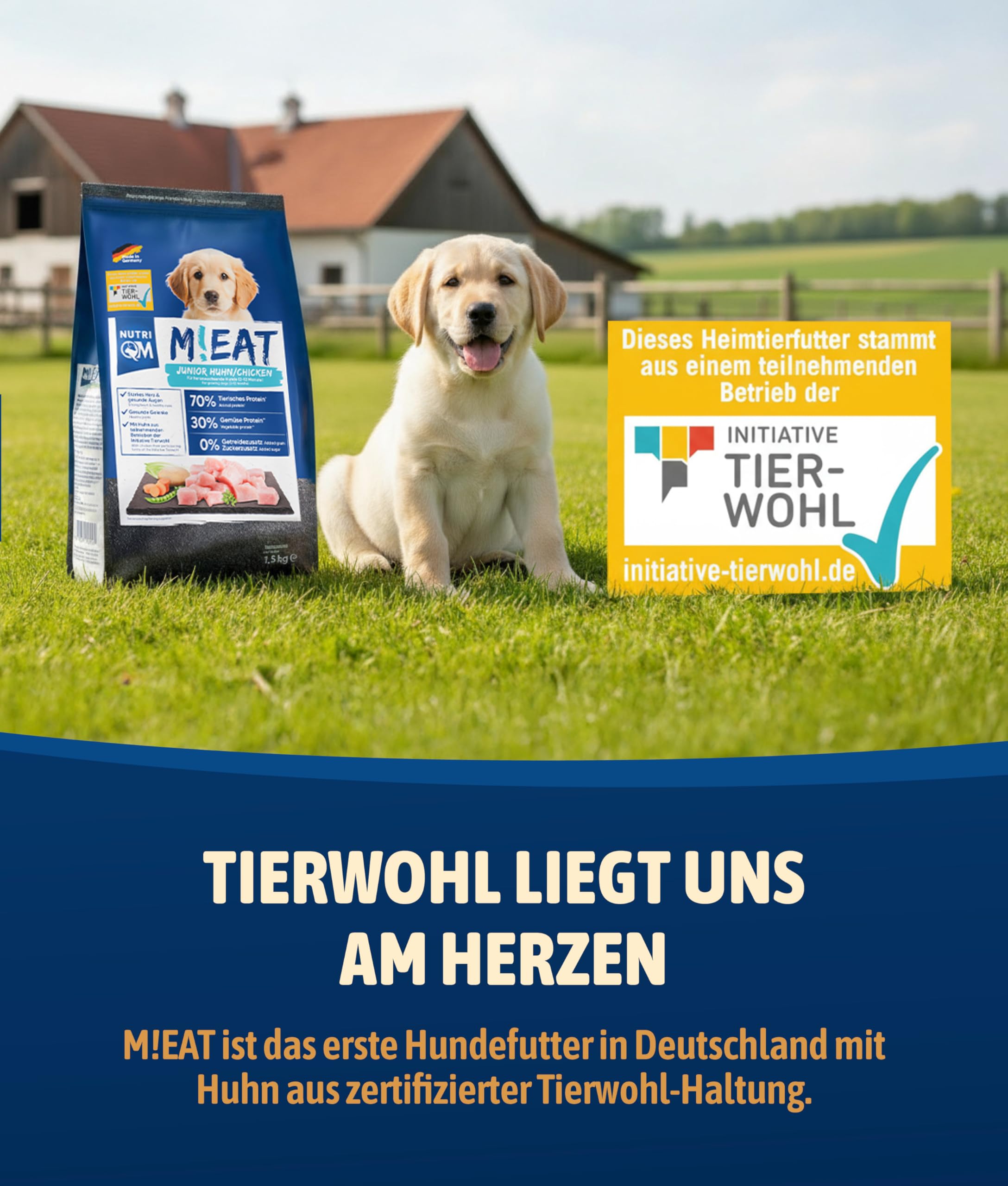 NutriQM® M!EAT Welpen Trockenfutter | Getreidefrei | 14 kg (10×1,4 kg) | Hundefutter trocken mit Fischöl & Hühnerfleisch | Junior Trockenfutter Hund ohne Zucker & Zusatzstoffe | Made in Germany