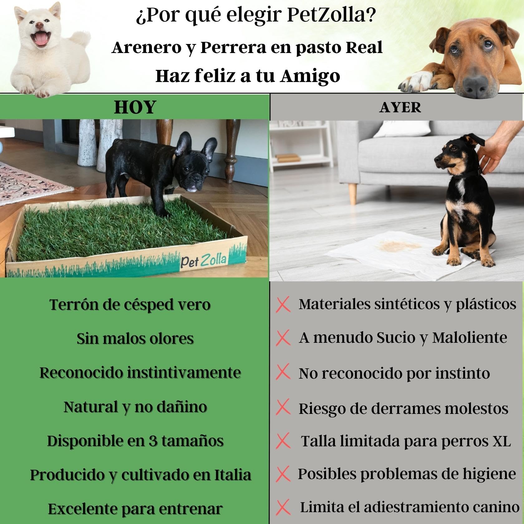 Petzolla – Cama para animales ecológica de césped real