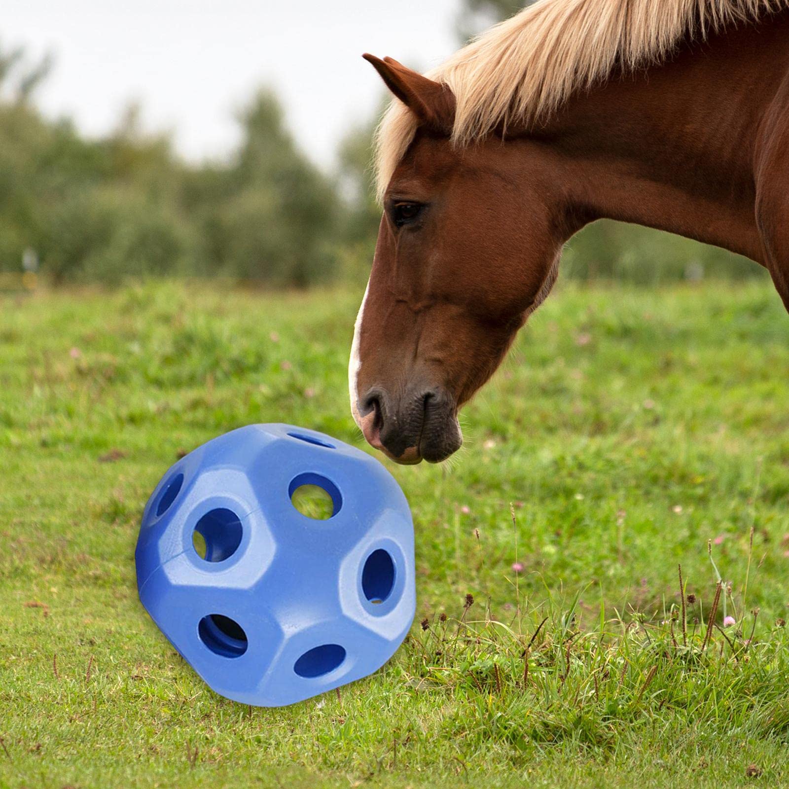 Divertida bola de regalo for caballos, juguetes for caballos, bola de heno de alimentación lenta, juguetes for comedero de caballos, alimentador de heno hueco, bola de juguete for establo de caballos,