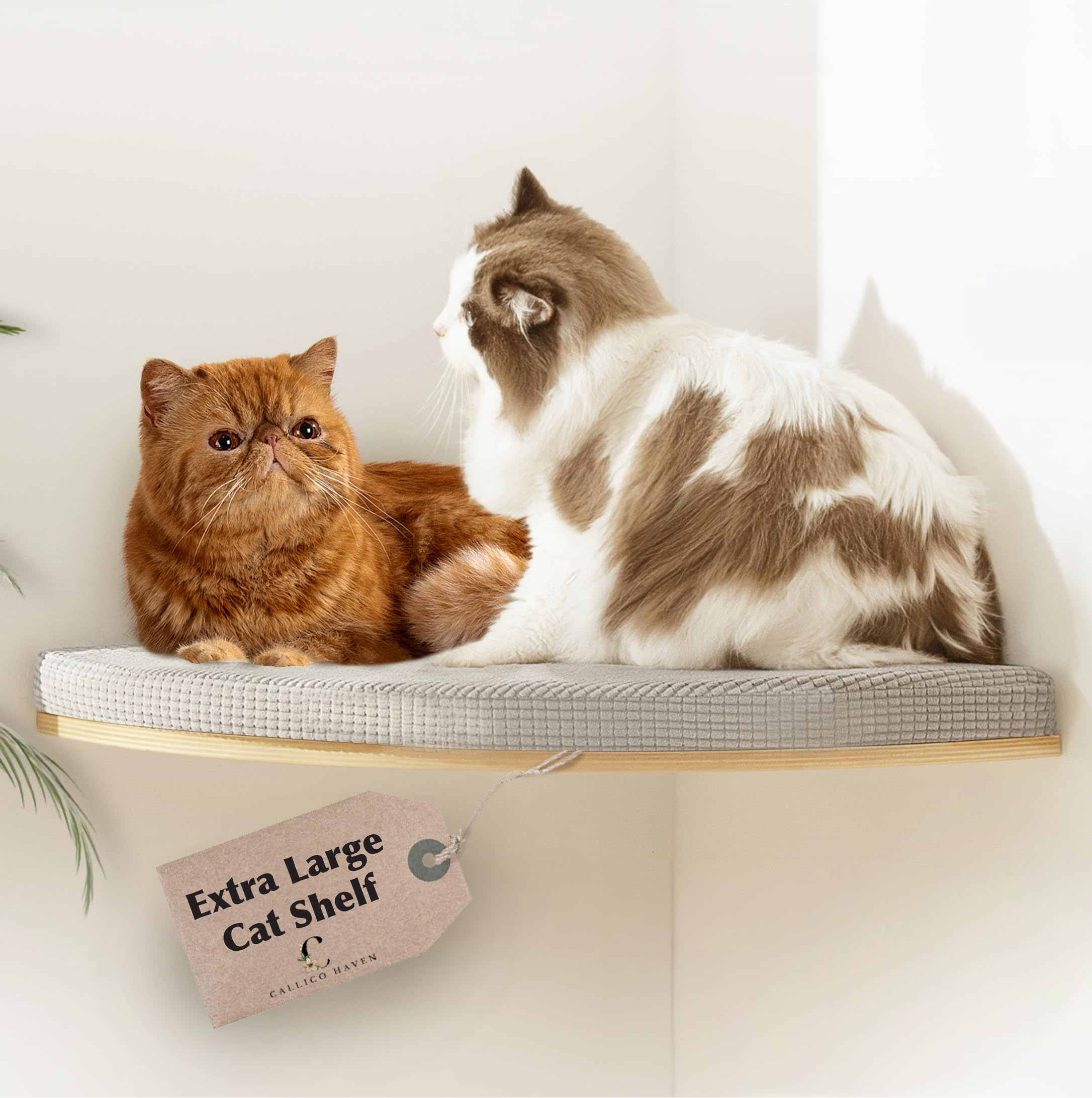 Extra Large 31.5" x 20" CALLICO HAVEN- Corner Cat Wall Shelf, Modern Wall Cat Bed, Corner Wall Hammock for Cats, Space-Saving Wall Cat Tree Bed,