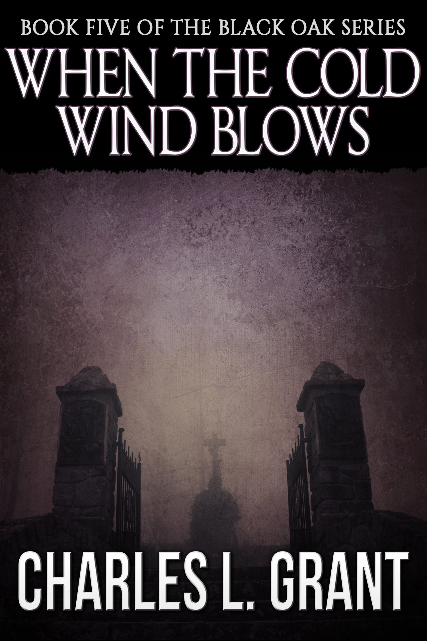 Cover of When the Cold Wind Blows