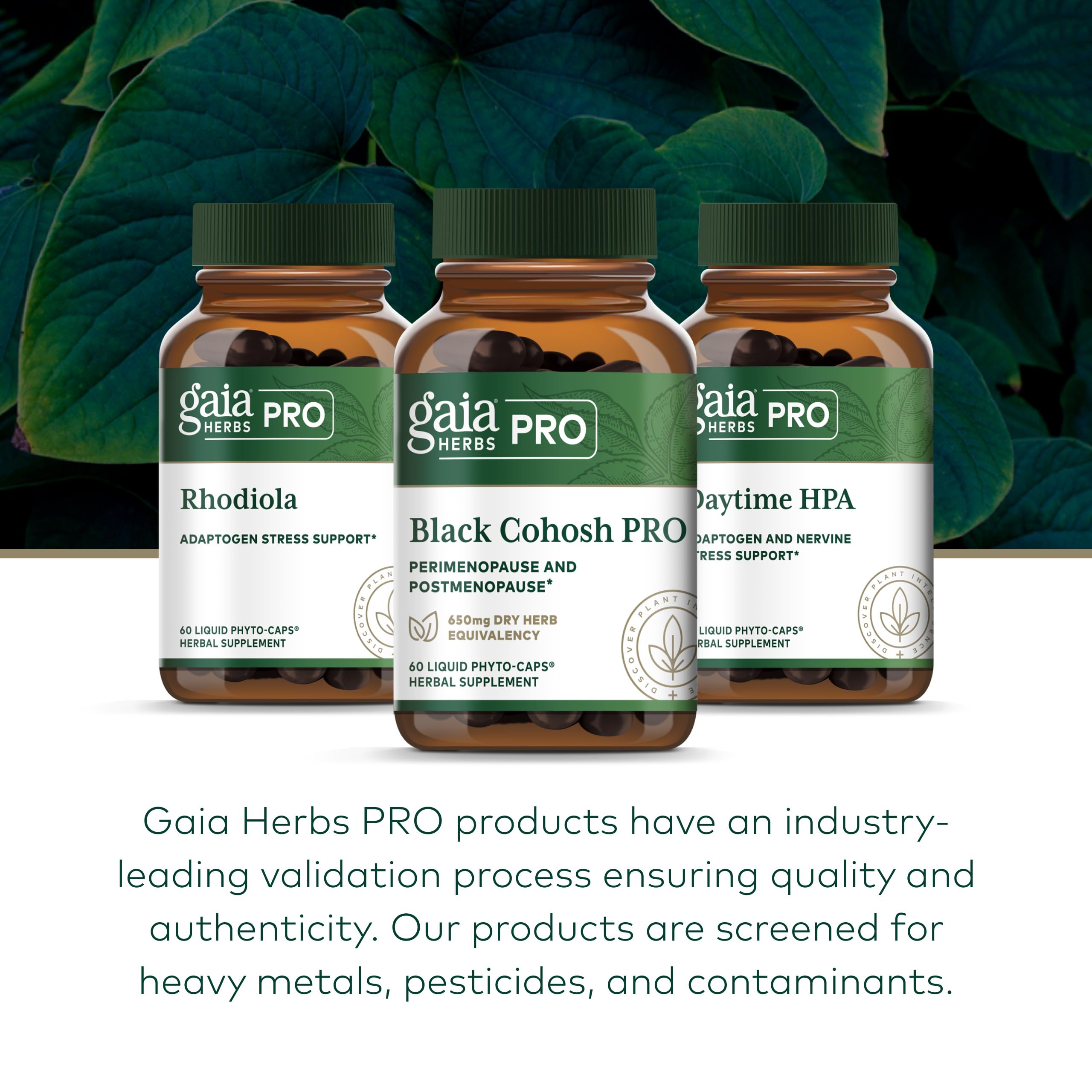 Gaia Herbs PRO Black Cohosh, 60 Vegan Capsules, 60 Servings — Amazon image 6