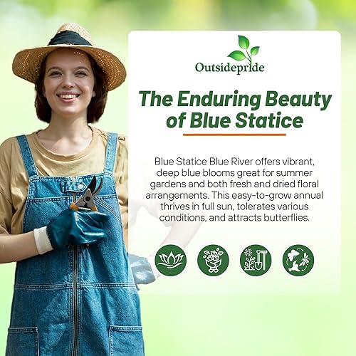 Miniatura 5 de Outsidepride Limonium Statice Apricot Flores eternas cortadas para jardín para arreglos secos y ramos - 1000 semillas