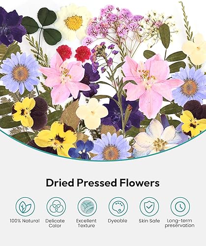 Miniatura 4 de Flores secas, flores prensadas Resiners para manualidades, kit de flores secas naturales reales para suministros de álbumes de recortes,