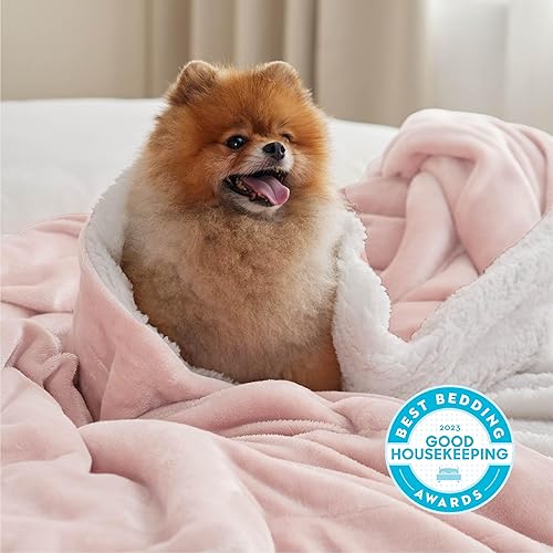 Miniatura 232 de Bedsure Manta de tamaño Queen de vellón sherpa para la cama, manta gruesa y cálida para el invierno, suave y mullida, para el otoño, color blanco, 0