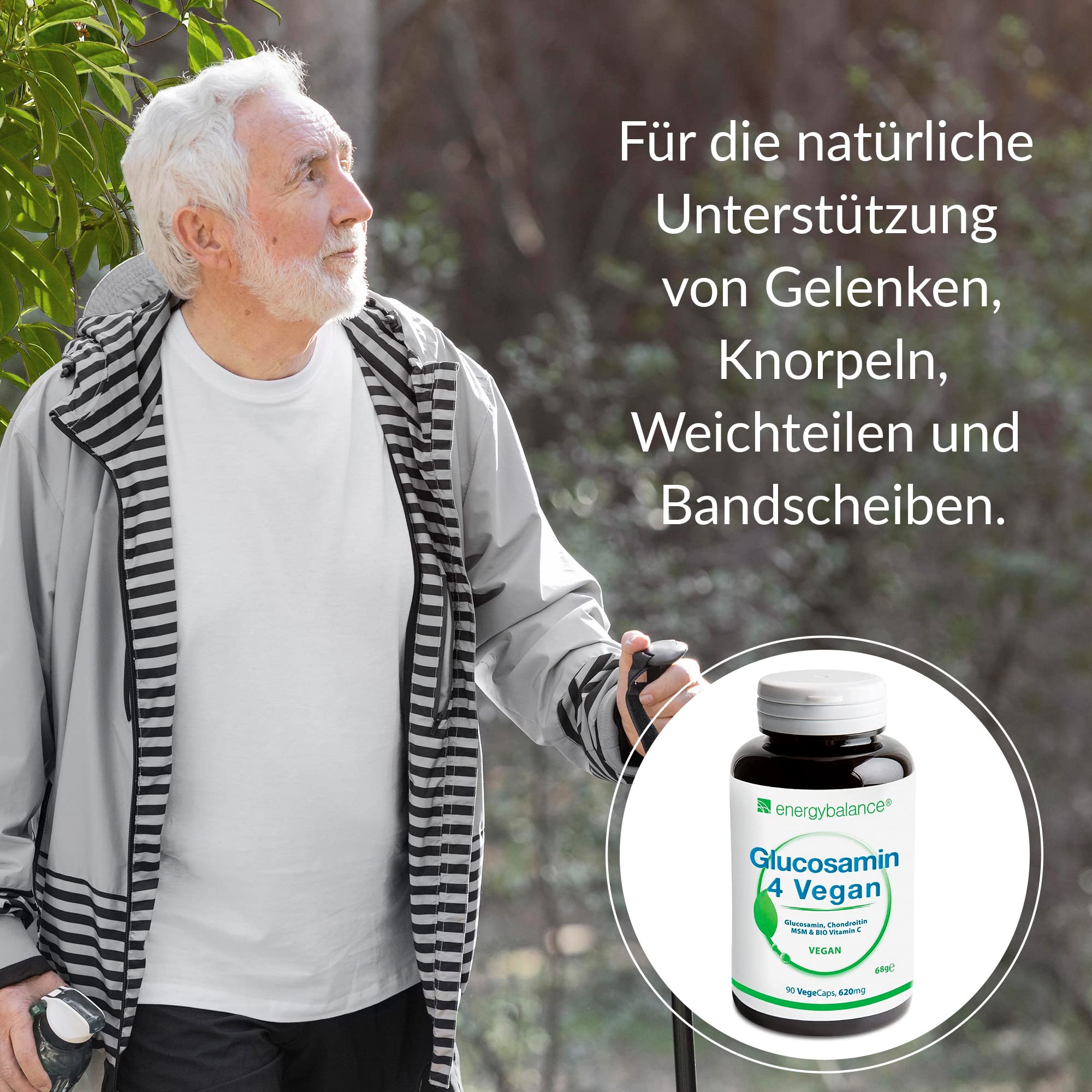Glucosamin 4 Vegan 620mg pro Kapsel - Vier vegane Inhaltsstoffe in einem zum Wohlbefinden: Glucosamin, Chondroitin, MSM (Methylsulfonylmethan) und Acerola-Vitamin C - 90 Kapseln