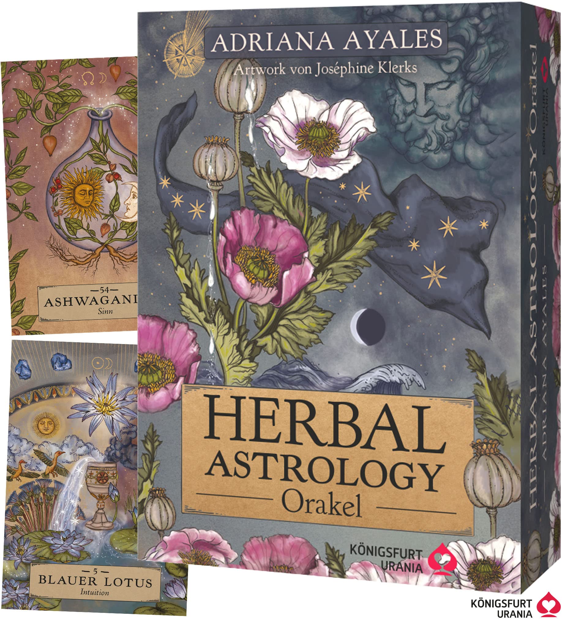 Herbal Astrology Orakel: 55 Karten mit Botschaften und Anleitungen: Stülpdeckelschachtel mit Goldprägung, Astrologie Orakelkarten, für moderne Grüne Hexen/Green Witches, Deutsch