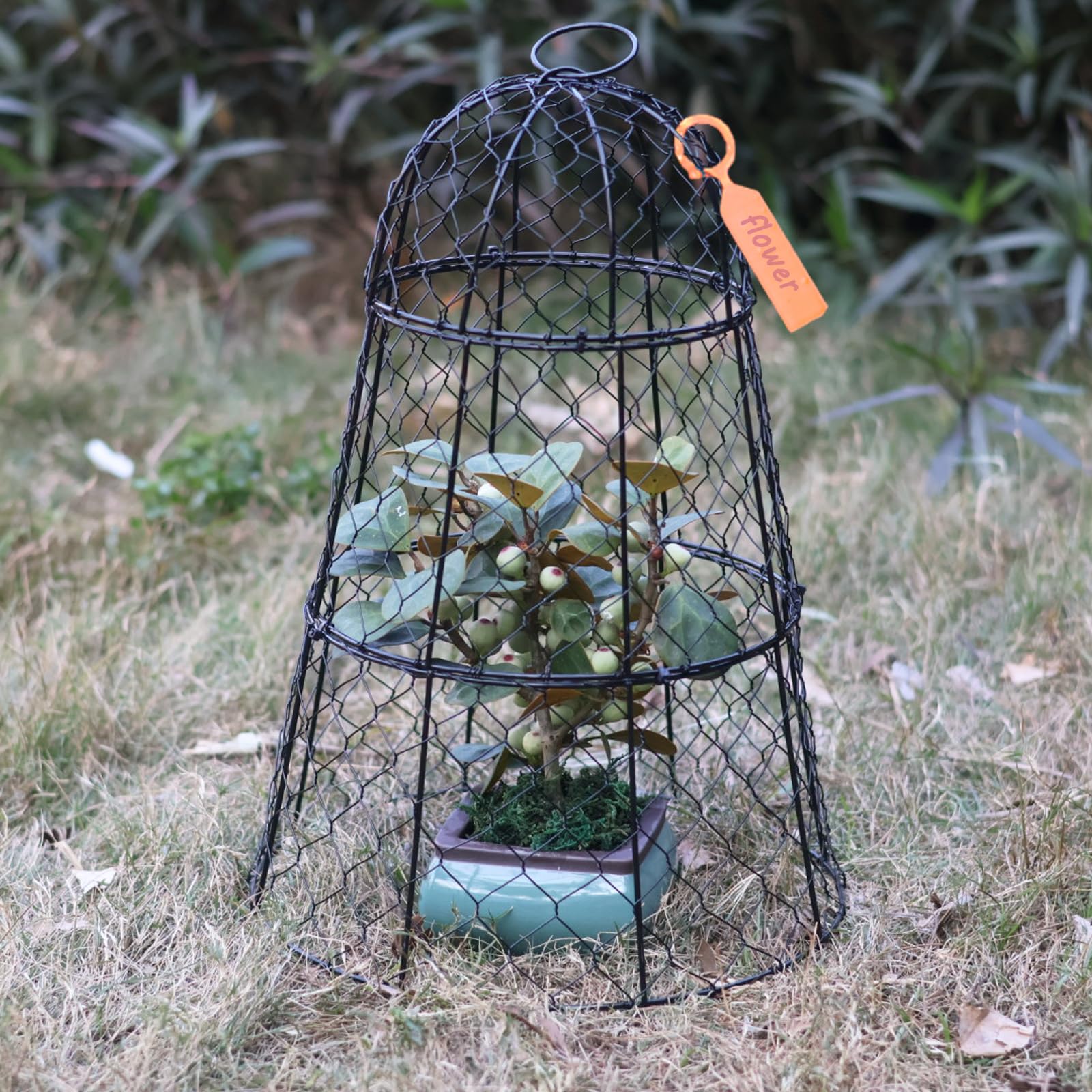 3 protectores para plantas