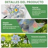 Ver la foto 4