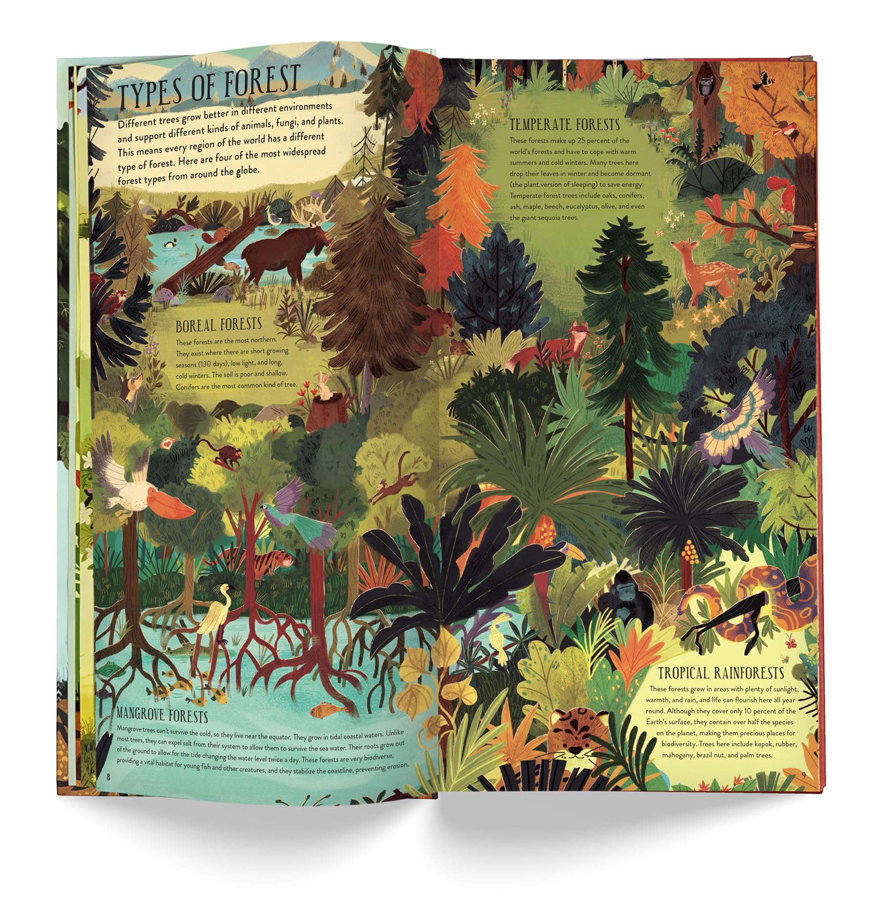 Make and Play: Build A Tree: Build a 30cm Oak Tree! Includes a 32-page Book and 40+ Model Pieces