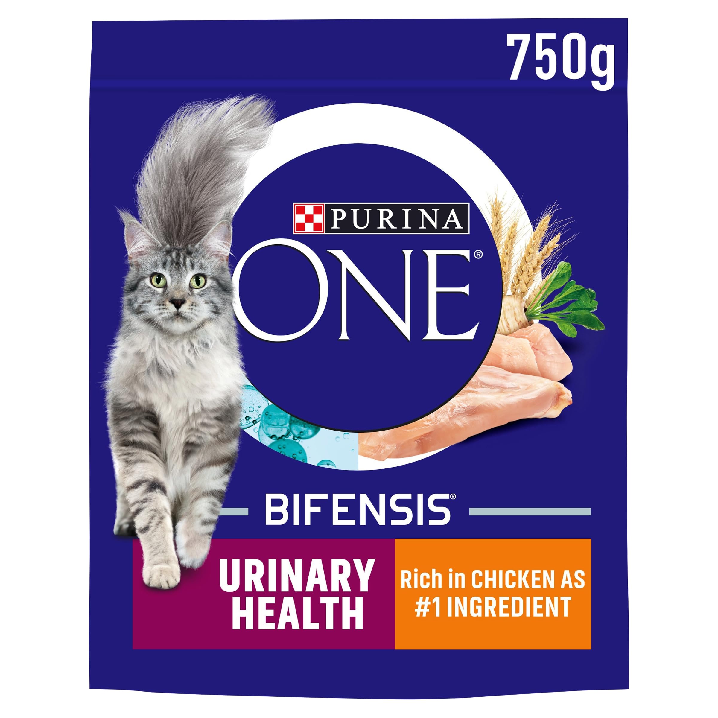 PURINA ONE Urinary Health Chicken Dry Cat Food 750g