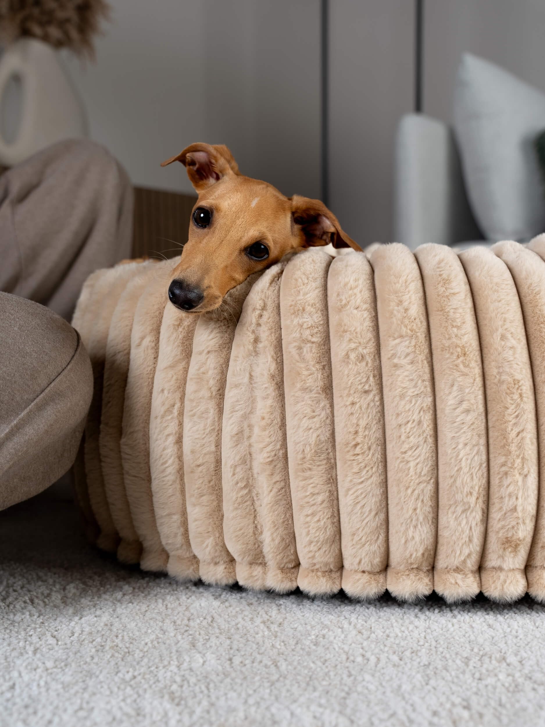 TrendPet Biscuit Spot Hundebett [Caramel, S]