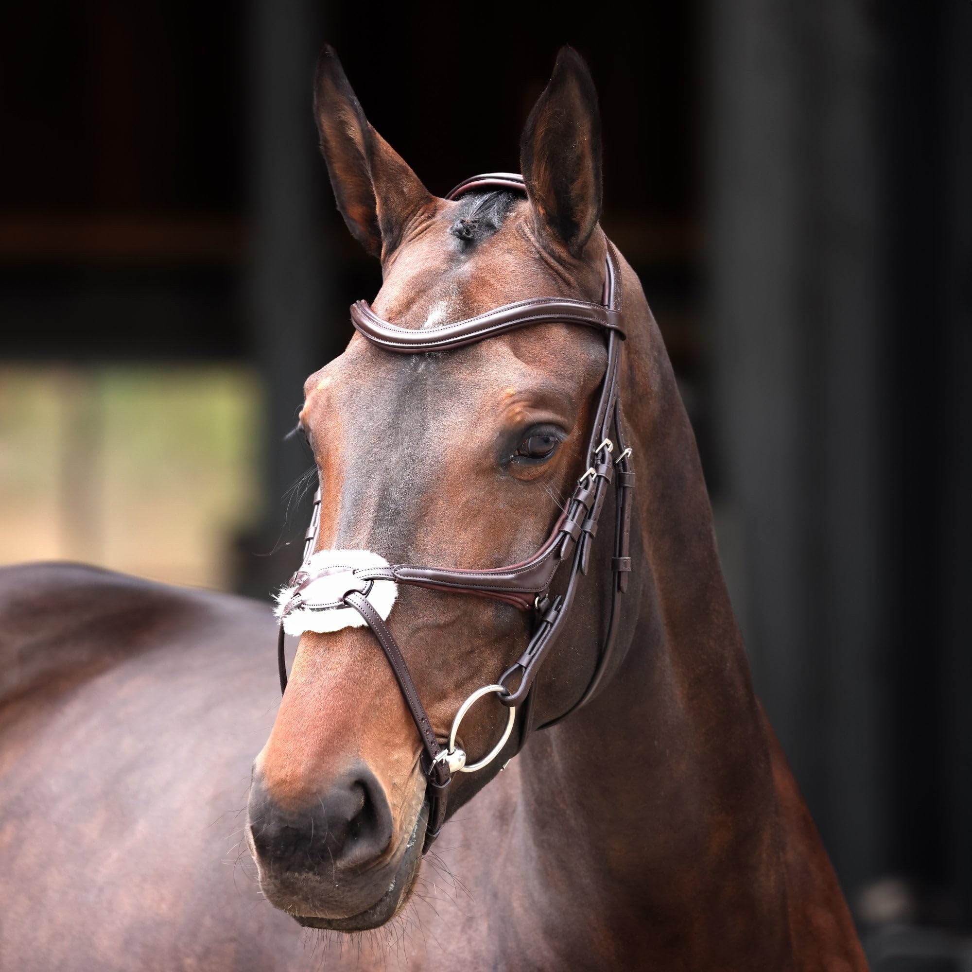 Shires Velociti Lusso Elite Grackle Bridle - Black or Havana Cob Black