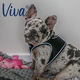 Ver la foto 6