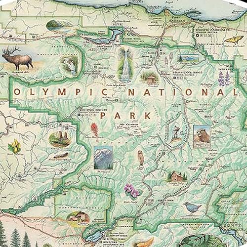 Miniatura 2 de Rompecabezas de cartón con mapa del Parque Nacional Olímpico, 1000 piezas, ilustrado a mano, educativo, actividad familiar, a partir de 7 años,