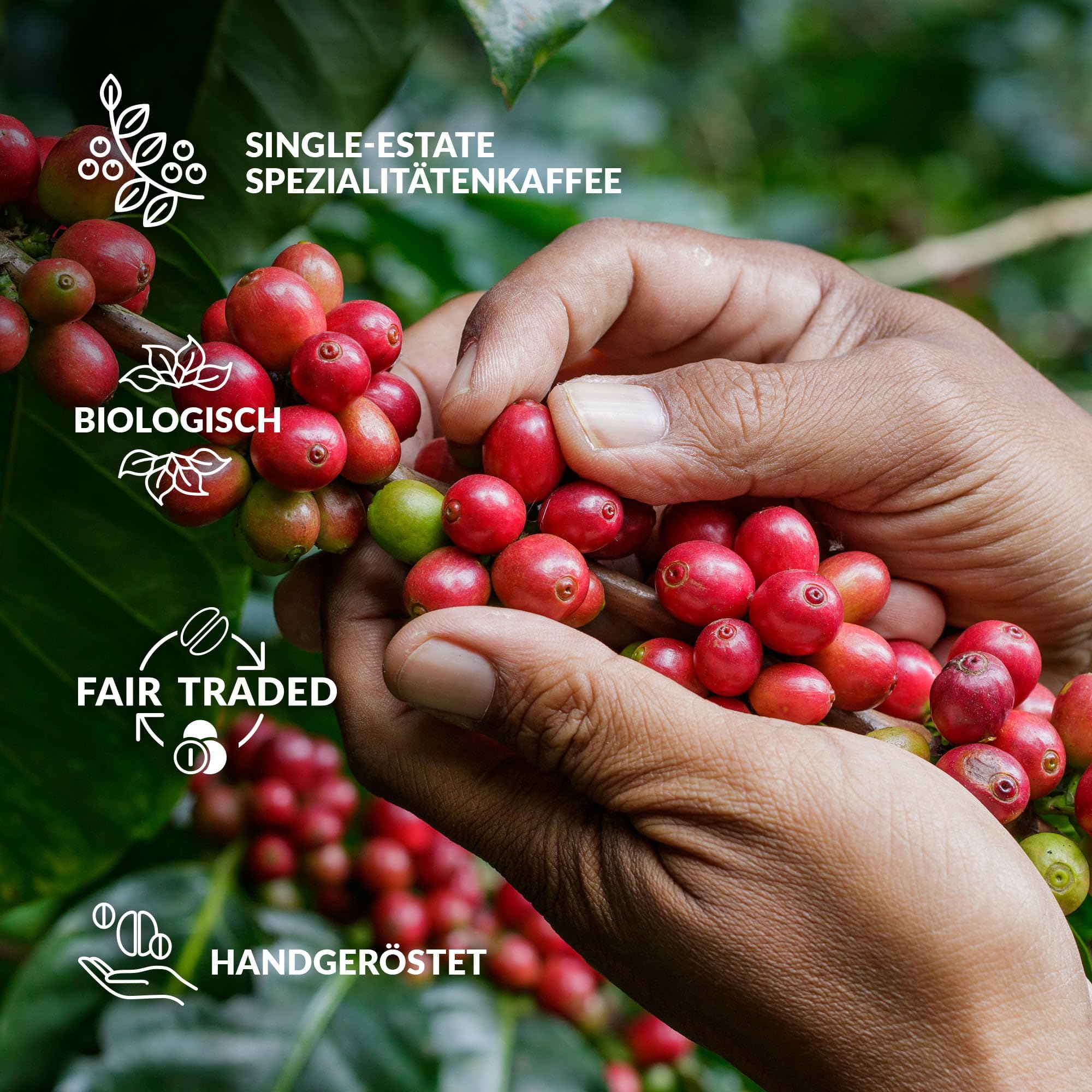 Kaffee Geschenk Probierset für Kaffeeliebhaber - Innovative Geburtstags Geschenkideen für Mann & Frauen | Spezialitäten & Gemahlen Coffee Set aus Premium Kaffeebohnen | Geschenkset aus Aller Welt