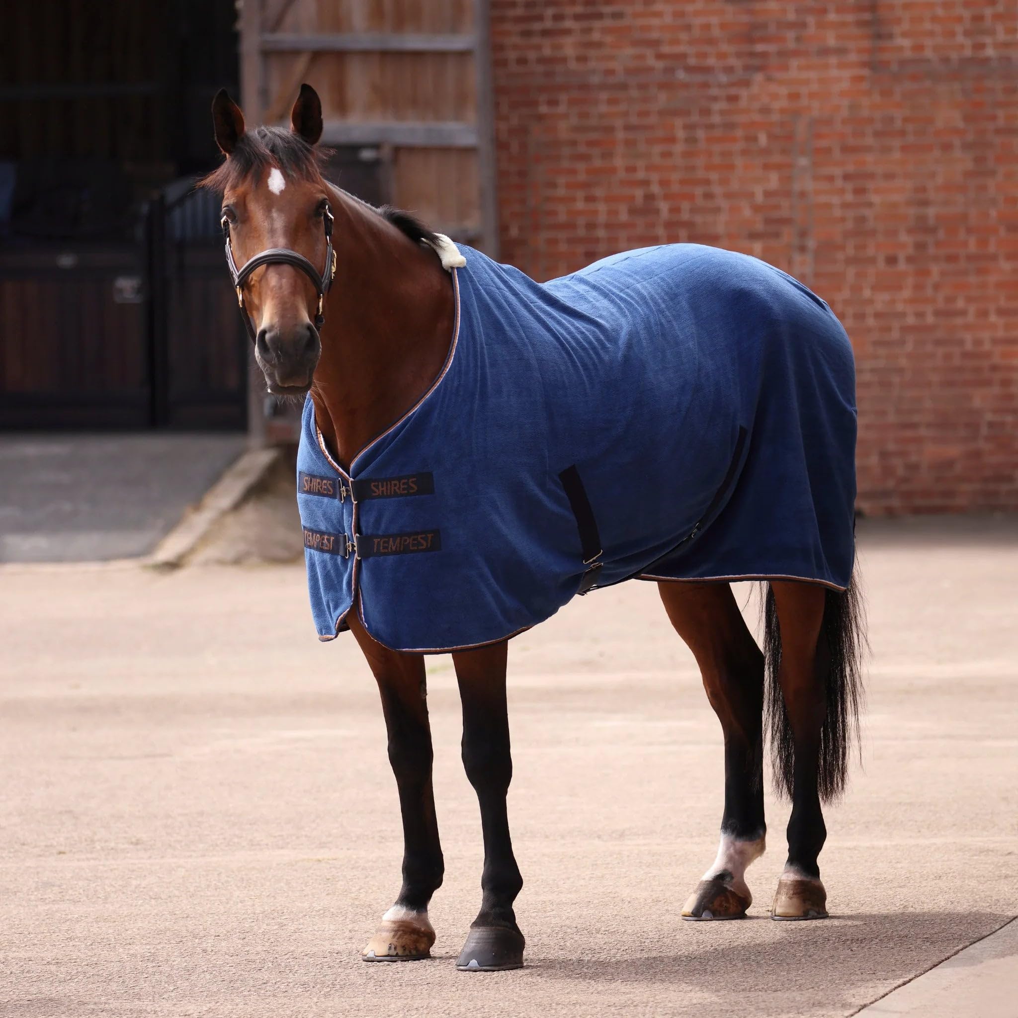 Shires Tempest Original Ultra Drying Rug - Navy Blue