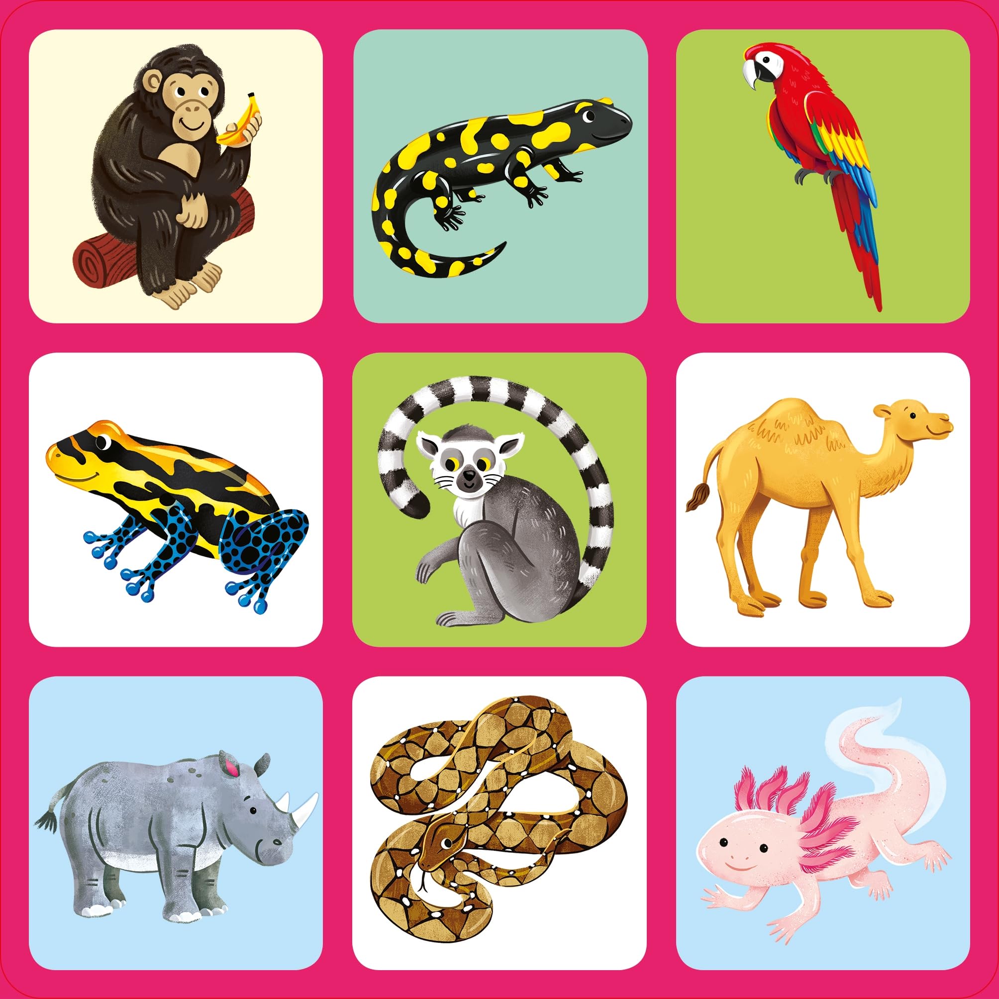 Zoo Matching Games