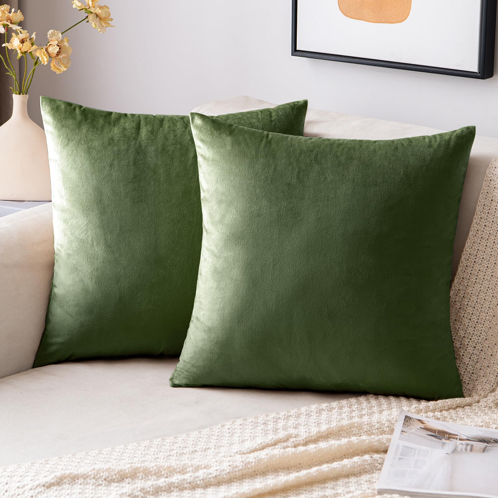 EMEMA Velvet Cushion Cover 40 x 40 cm, Decorative Cushion Cover, Matcha Green, Sofa Cushion, Lumbar Cushion