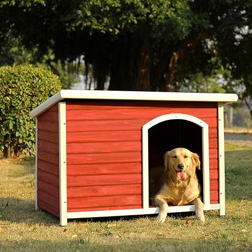 Miniatura 10 de Petsfit - casetas cuchas de madera para perros pequeños, medianos y perros grandes, resistente a la intemperie para perros, con patas elevadas.