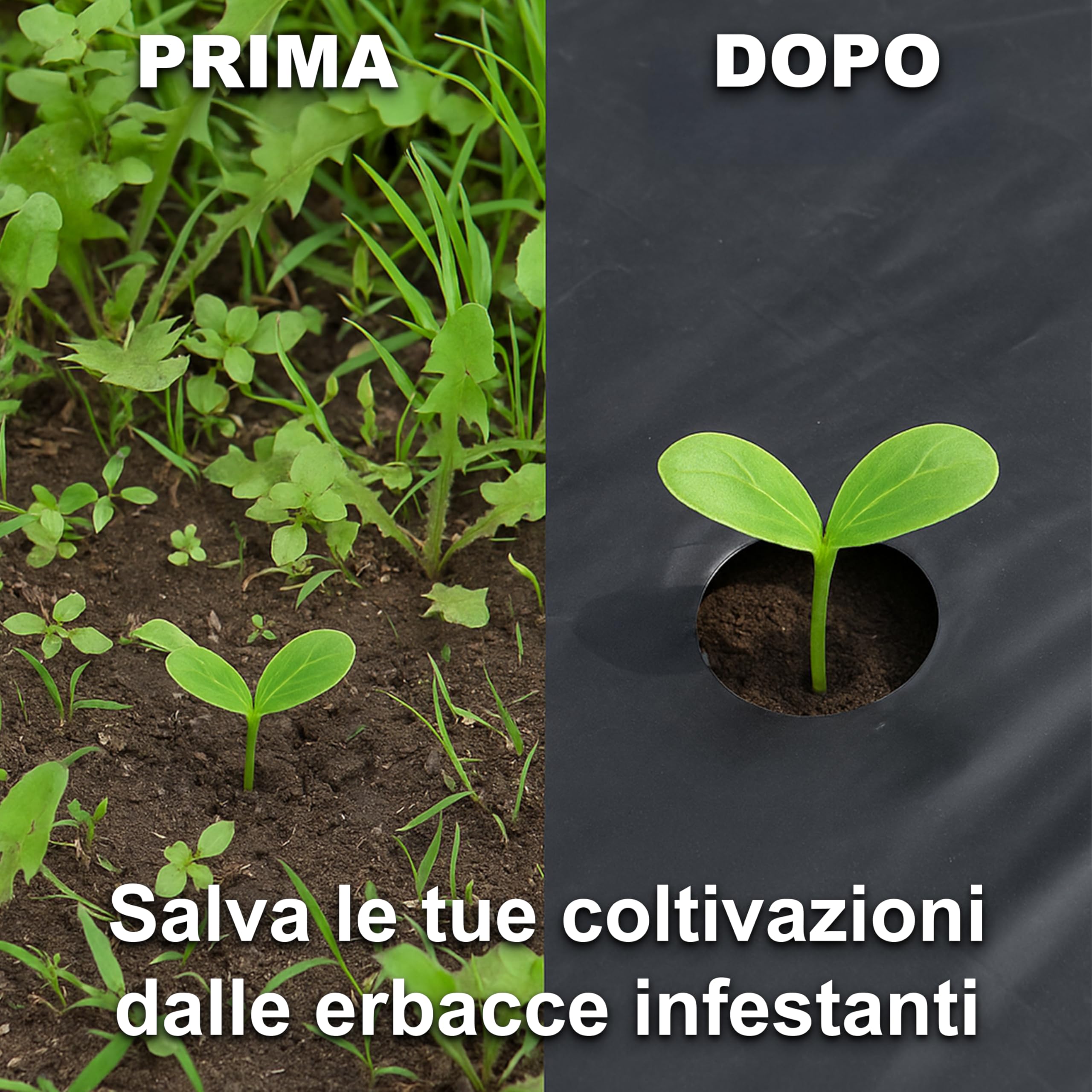 Maka Telo Nero Pacciamatura Orto Anti Erbacce Forato o Senza Fori Giardino Pacciamante Anti-UV Impermeabile all'Acqua Polietilene Spessore Film 5 Micron Cartone (0.9x50 Metri, Forato 40 cm)