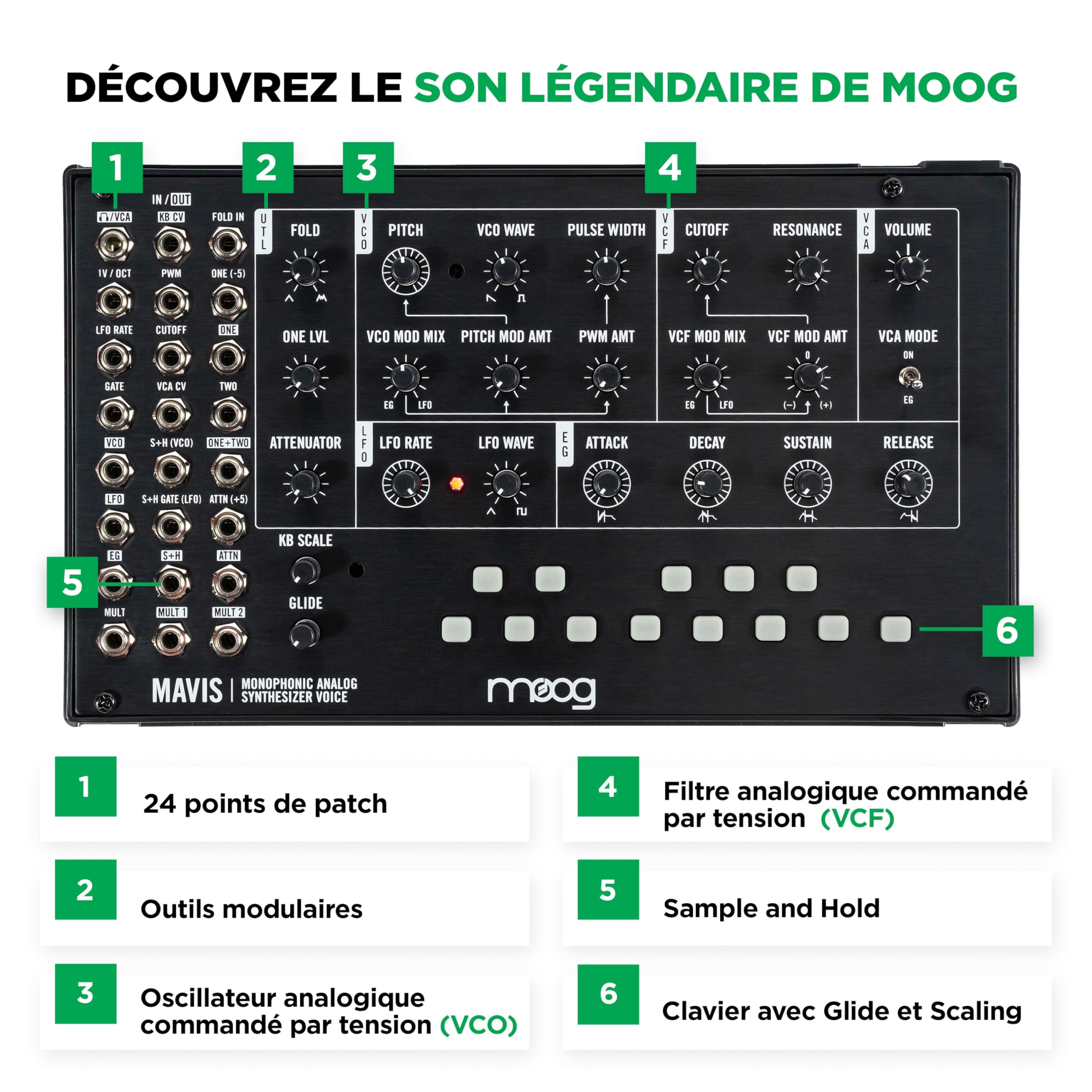 MOOG Mavis - Synthétiseur Analogique Autonome Semi-Modulaire avec Clavier, Oscillateur Analogique, Filtre, Générateur d'Enveloppe, Wavefolder
