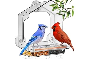 LUJII Anti-Eavesdrop Window Bird Feeder