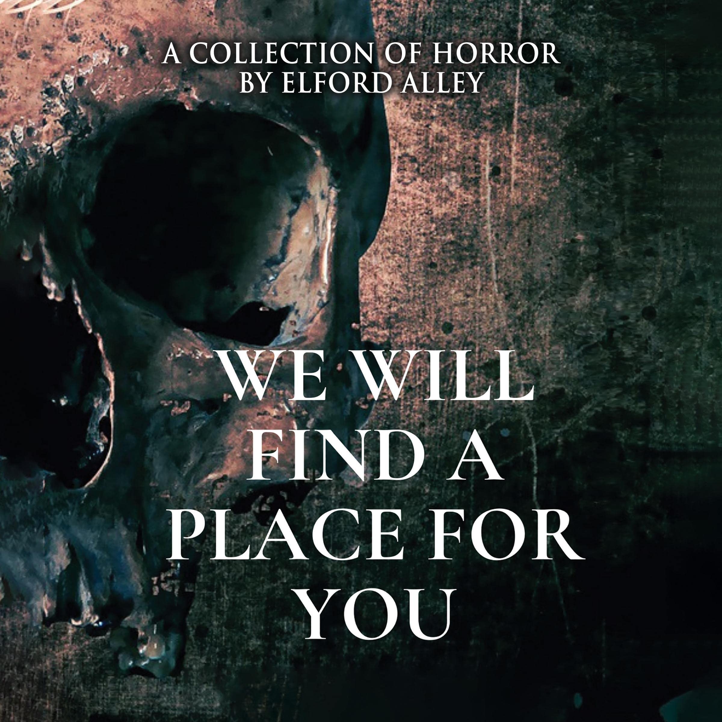 Cover art for We Will Find a Place for You