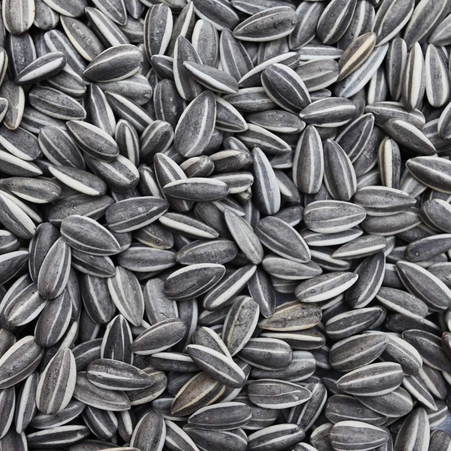 Anky Sunflower for All Birds Food Dry Bird Food Sunflower Seeds for Bird Sunflower Seeds for Gray Parrot Indian Parrot; Macaw Cockatoo and Exotic Birds 500Gm (B0DBHZKR4W) Amazon Price History, Amazon Price Tracker