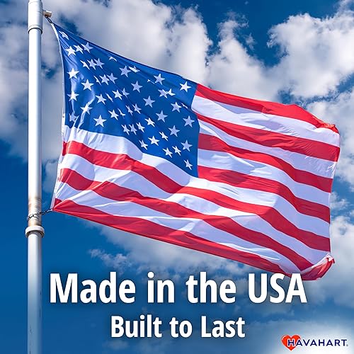 Miniatura 11 de Havahart 1078SR - Trampa para animales de 1 puerta de estilo profesional mediano para conejo, mofeta, visón y ardilla