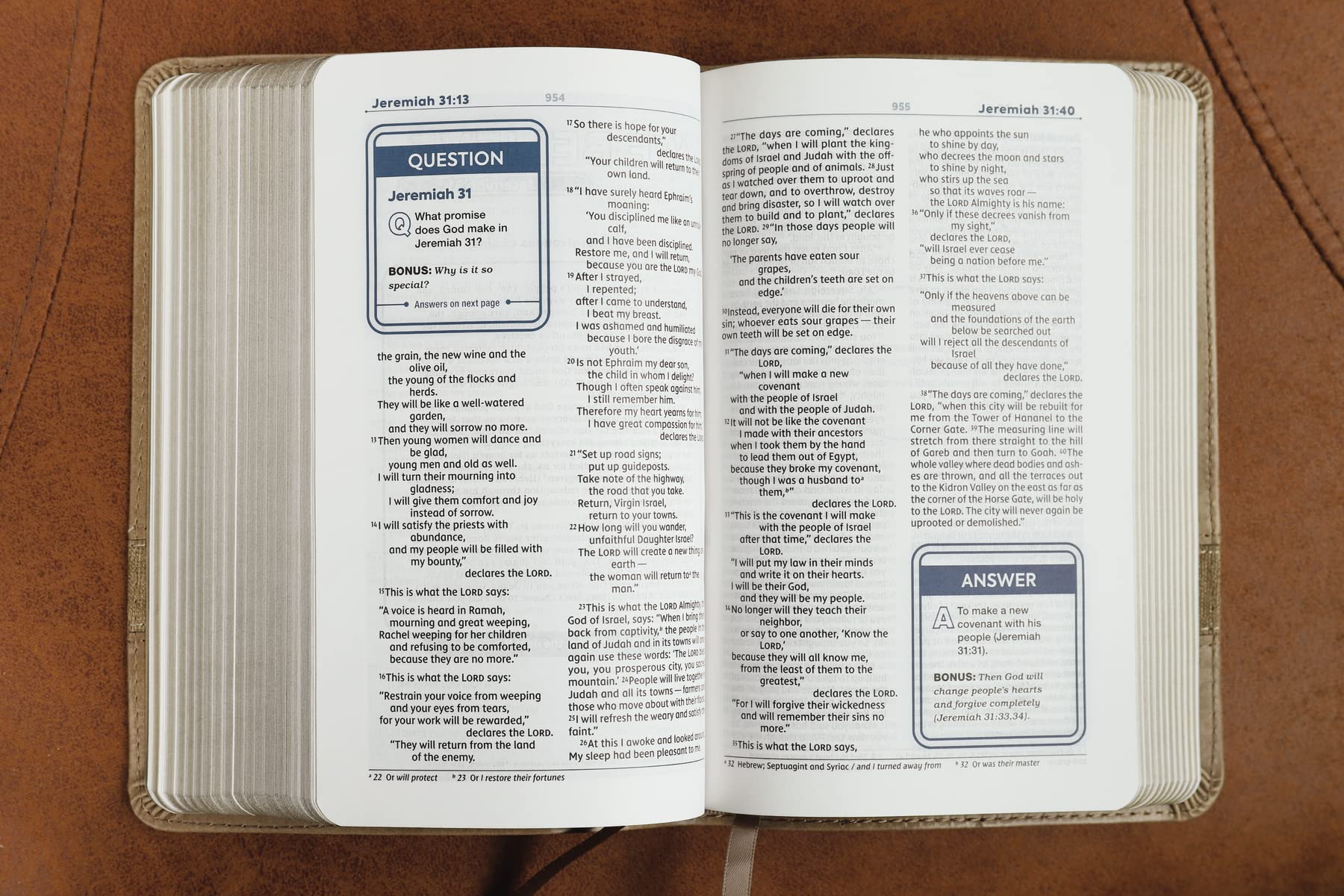 NIV Teen Study Bible: New International Version, Brown, Leathersoft, Comfort Print