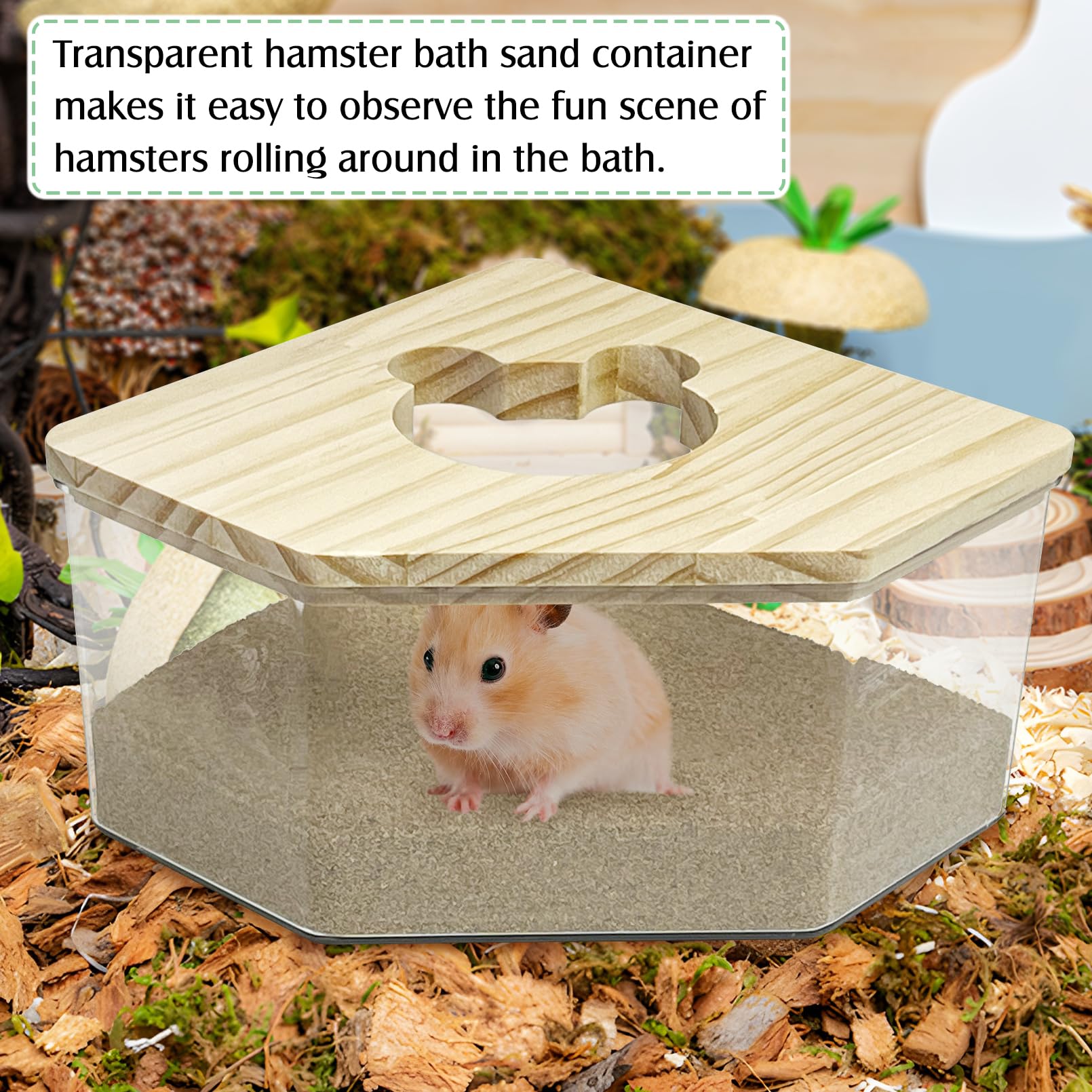 Snapklik.com : Kathson Hamster Sand Bath Box Transparent Acrylic Small ... - Hamster Care Solutions Acrylic Products