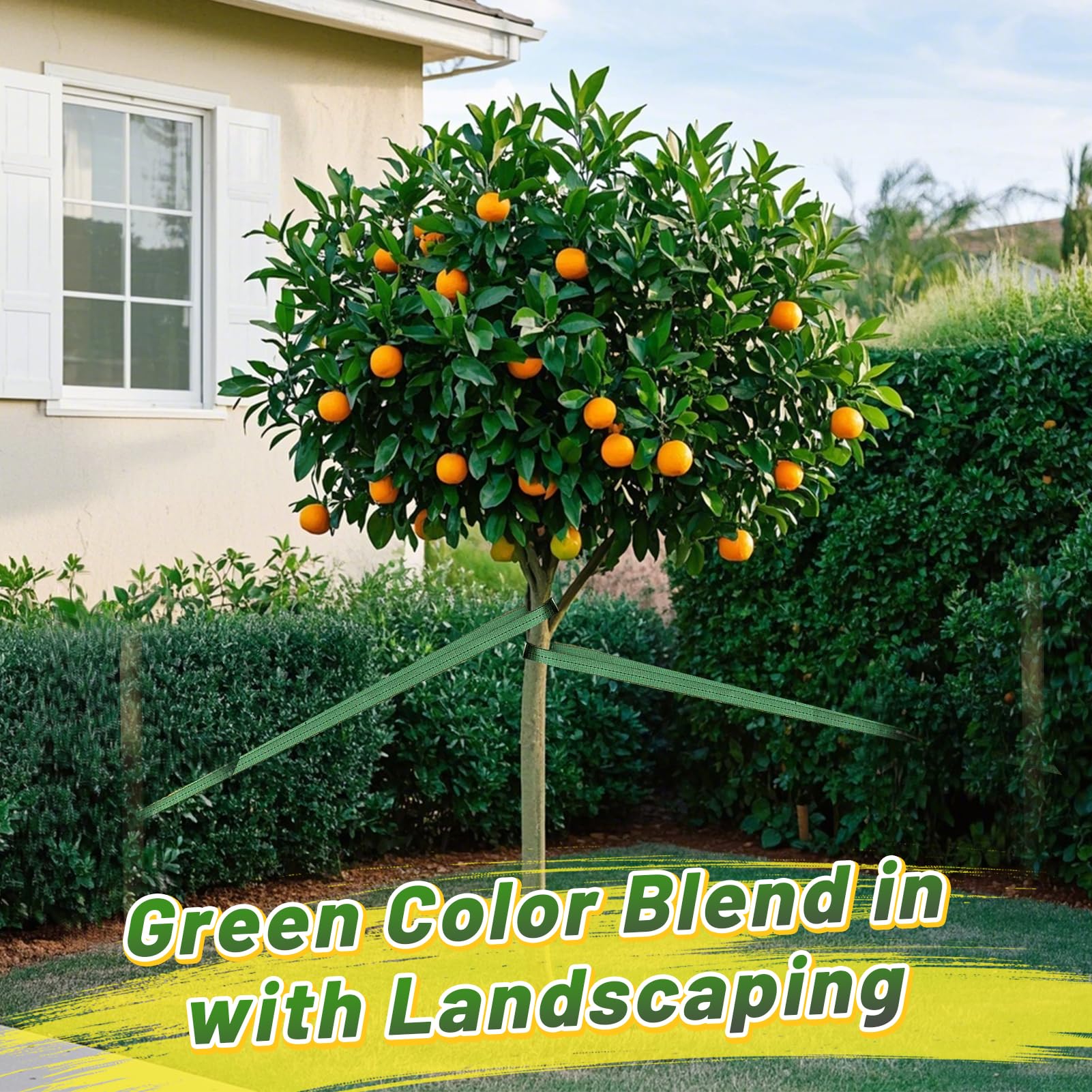Biubee 2 rollos de 108 pies de largo y 1 pulgada de ancho, color verde, material de estaca y sujeción para jardín, para uso en exteriores, resistencia de 1760 libras (total 216 pies)