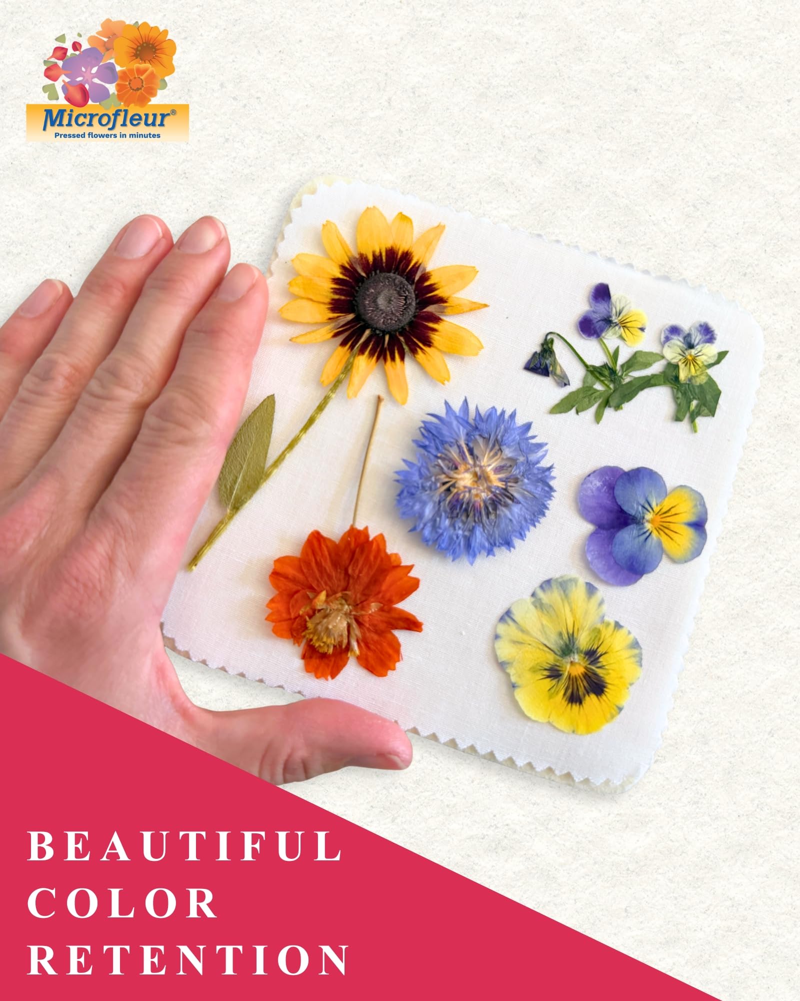 Microfleur Regularna prasa do kwiatów w kuchence mikrofalowej 12,7 cm