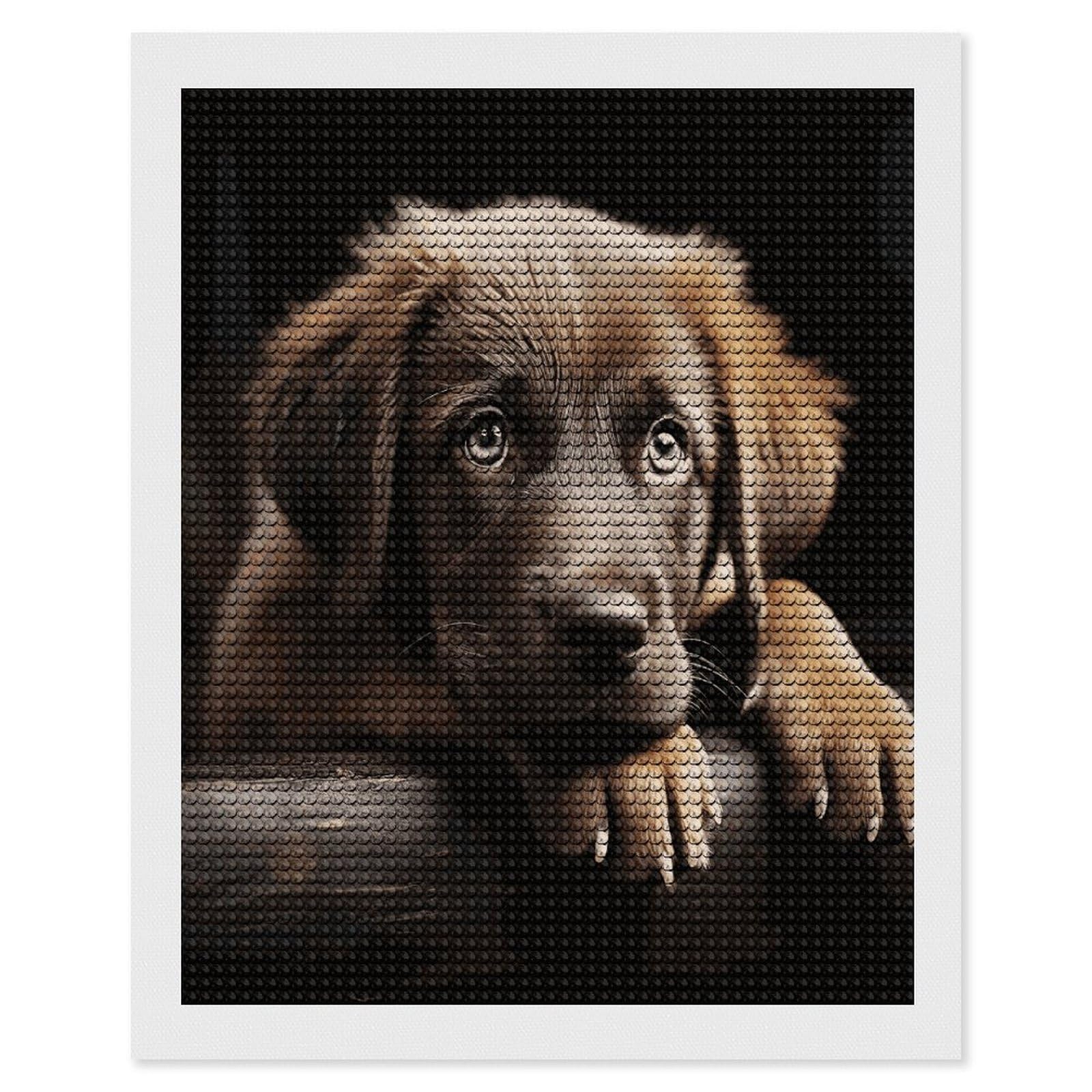 JTREHY Puppies Dog Diamond Art Kits Personalized DIY Round Diamond Painting Kits for Beginner Full Drill Diamonds Dots Paintings for Adults Gem Art Crafts Home Decor