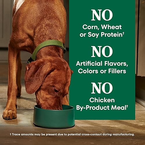 Miniatura 6 de NUTRO NATURAL CHOICE Alimento seco natural para perros adultos pollo