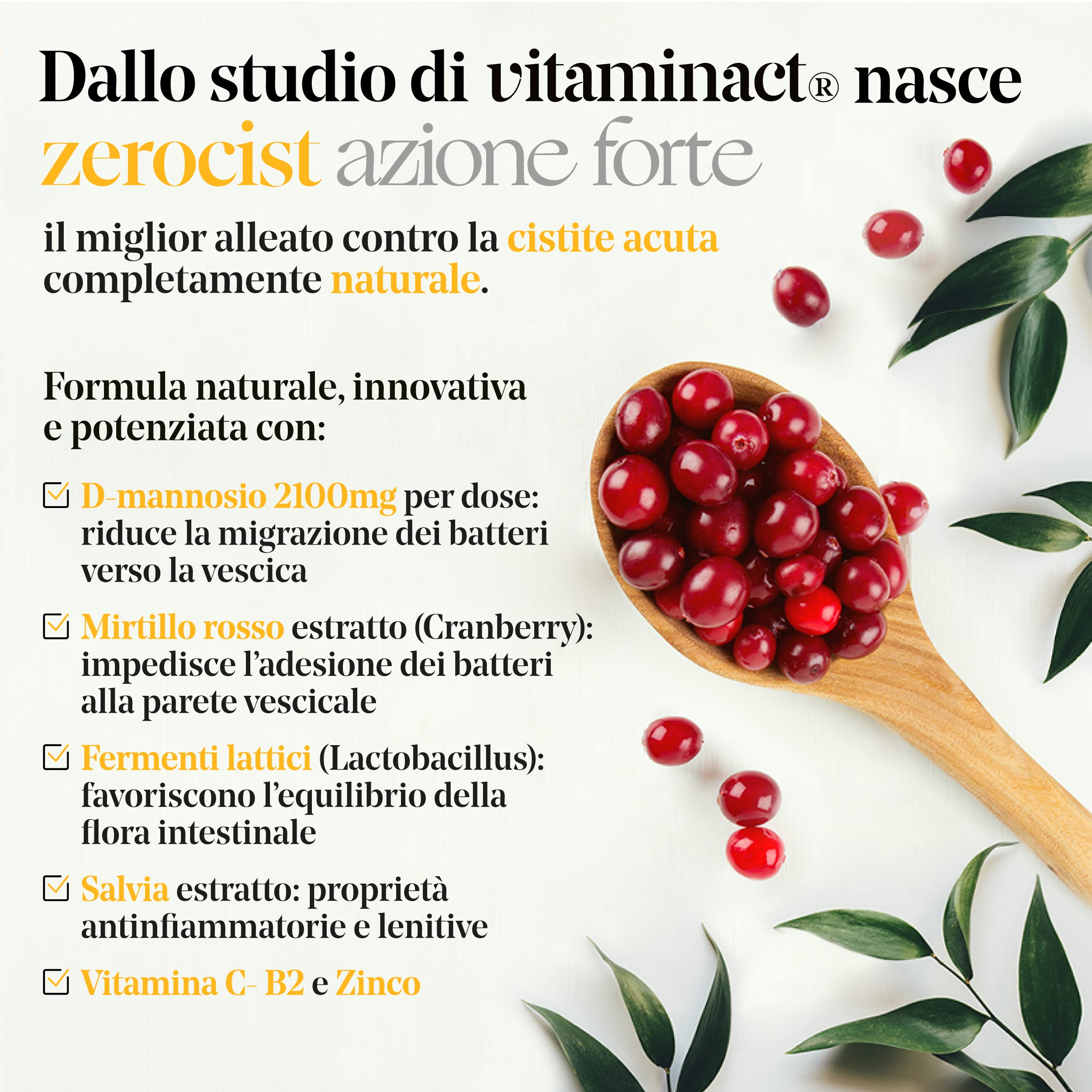 Cistite Cronica - d mannosio Puro - mirtillo rosso- Lactobacillus- per Infezioni Vie Urinarie, Dolori, Candida. con Salvia, Vitamine C, B2 e Zinco