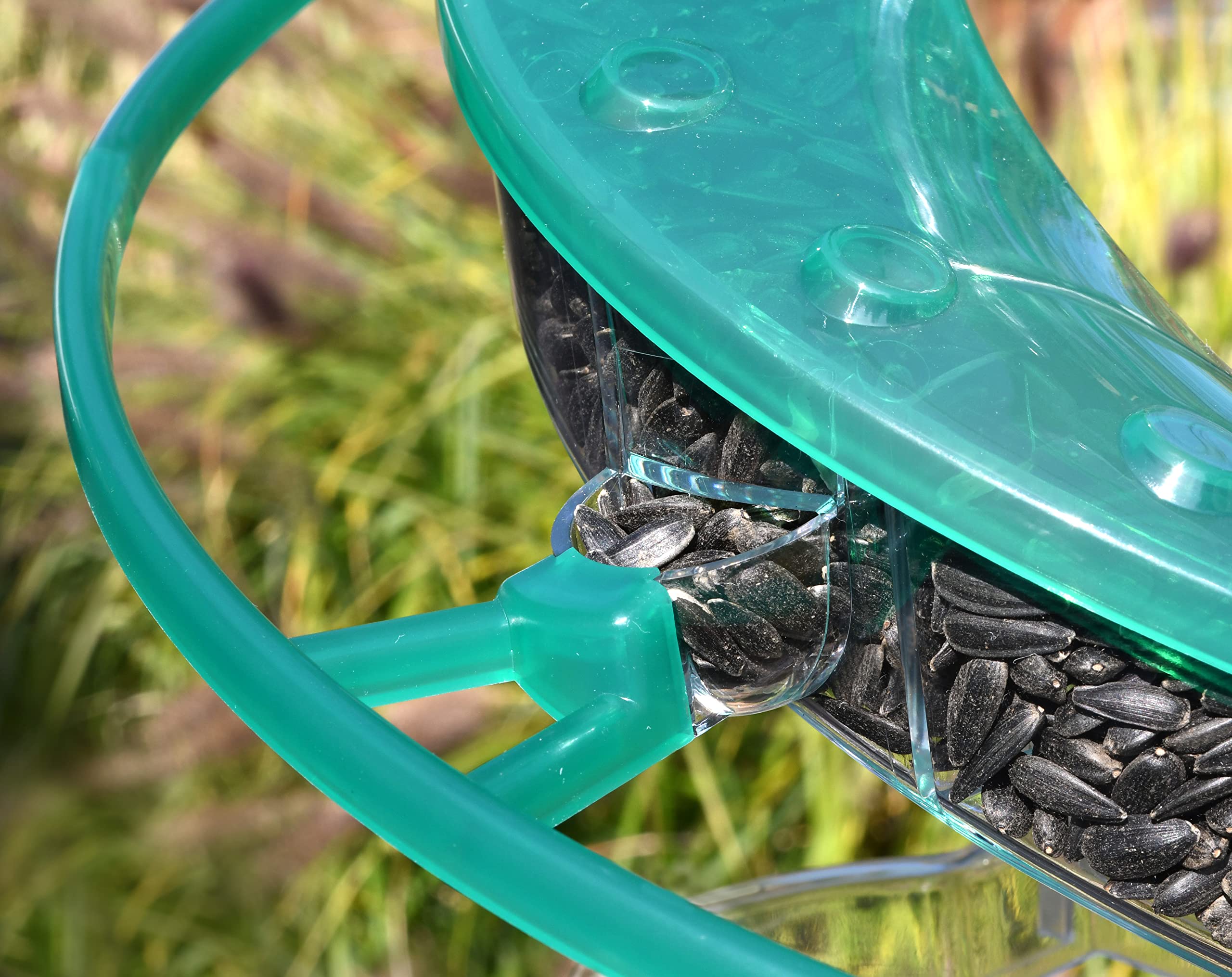 Amazon.com: Cascade® DNA™ Songbird Seed Feeder, Allows 2 Types of