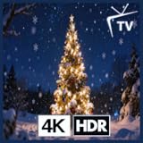 ウィンターワンダー - ホリデーマジックのための華やかなクリスマスツリー