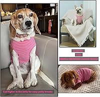 Vista 3 de Camisa para Perro, Camisetas de Algodón Peinado, Camiseta Suave y Fresca para Niño Niña para Perros Pequeños Gatitos Cachorros Chihuahua, Rosa