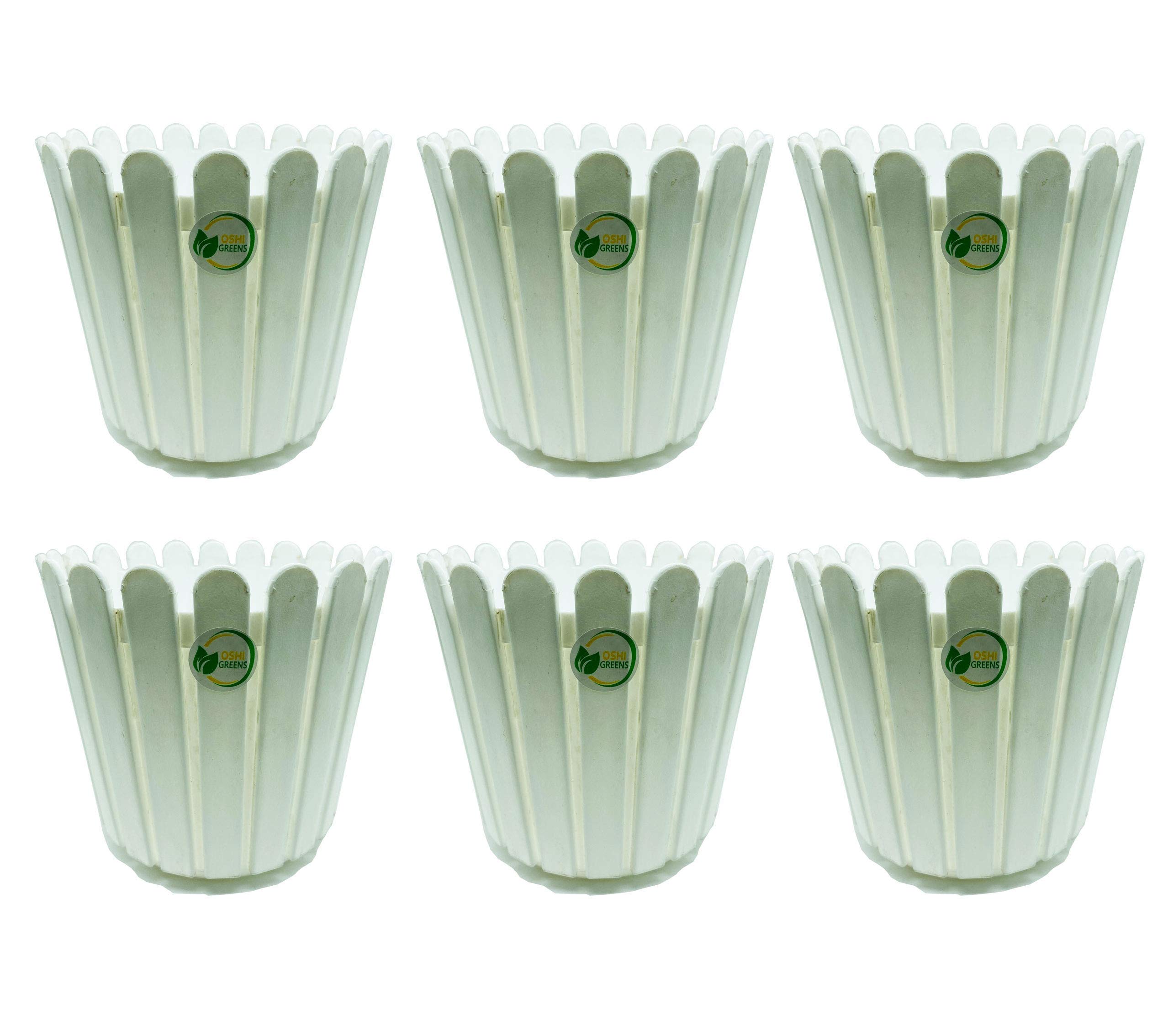 See full amazon price history chart for OSHIGREENS 6 Inch Plant Pots Set of 6 Plastic planters Indoor Outdoor Plastic Flower Pot UV Treated Plastic Round Pot for All Home Garden Flowers Succulents (Colour : Light Green) OSHIGREENS 6 Inch Plant Pots Set of 6 Plastic planters Indoor Outdoor Plastic Flower Pot UV Treated Plastic Round Pot for All Home Garden Flowers Succulents (Colour : Light Green) (B08ZYM8DNF) Amazon Price History, Amazon Price Tracker