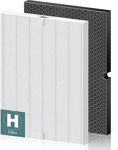116130 Filtro de repuesto H para purificador de aire Winix 5500-2 y AM80, filtro HEPA y filtro de carbón activado paquete combinado