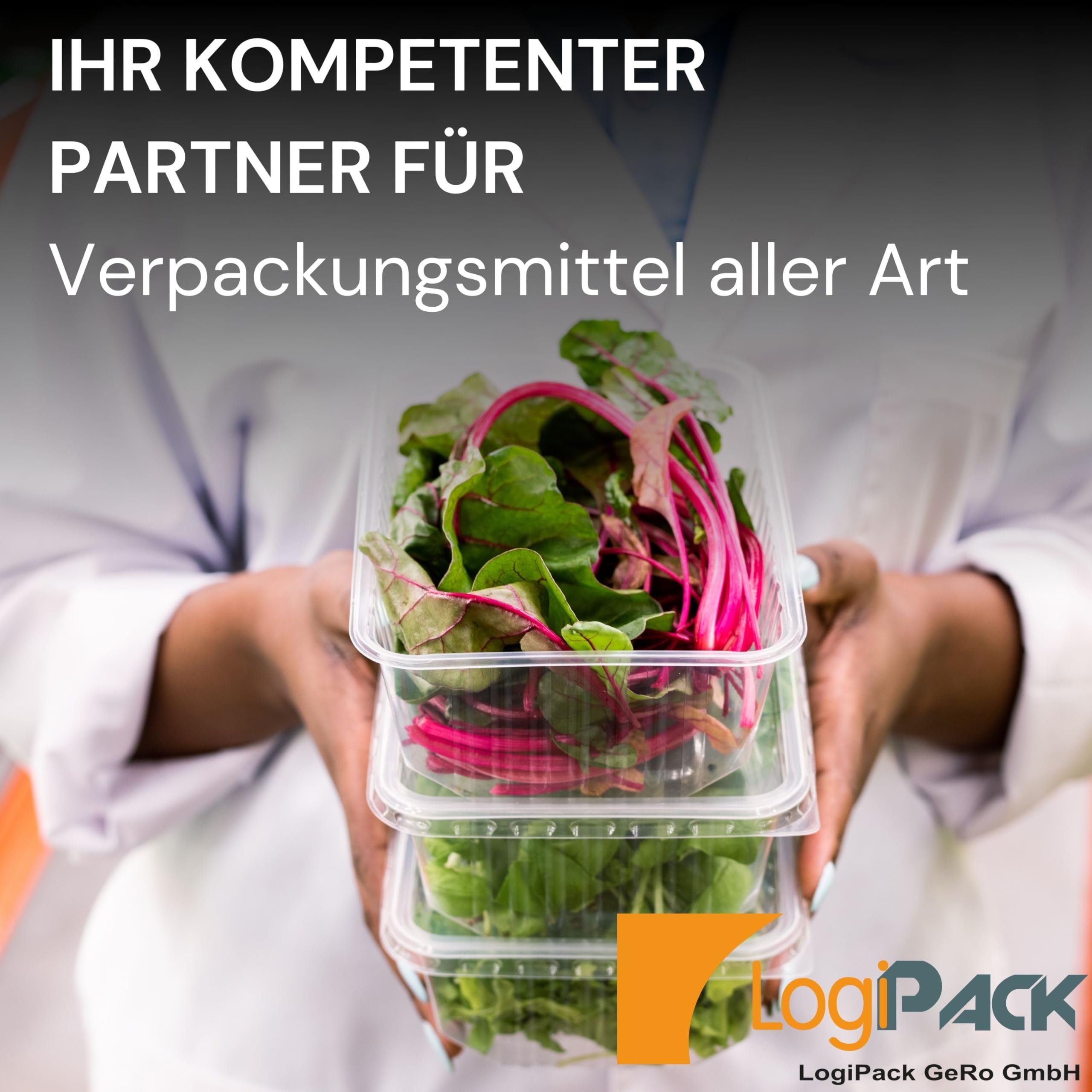 Tazza per alimenti rettangolare 500 ml con coperchio – Contenitore in polipropilene per insalata, snack e take-away