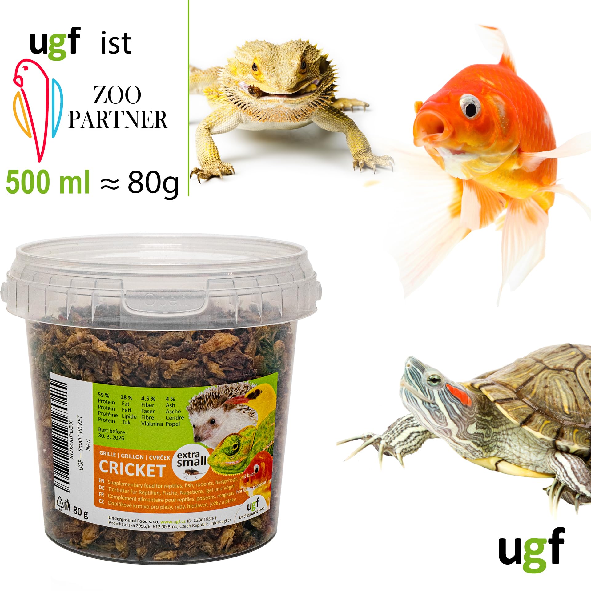UGF - Suszone małe świerszcze - 80 g w wiaderku 500 ml, Owady świerszcze, Karma dla ptaków dzikich (całoroczna), Karma dla żółwi, Karma dla jeży, Karma dla jaszczurek, Karma dla ryb
