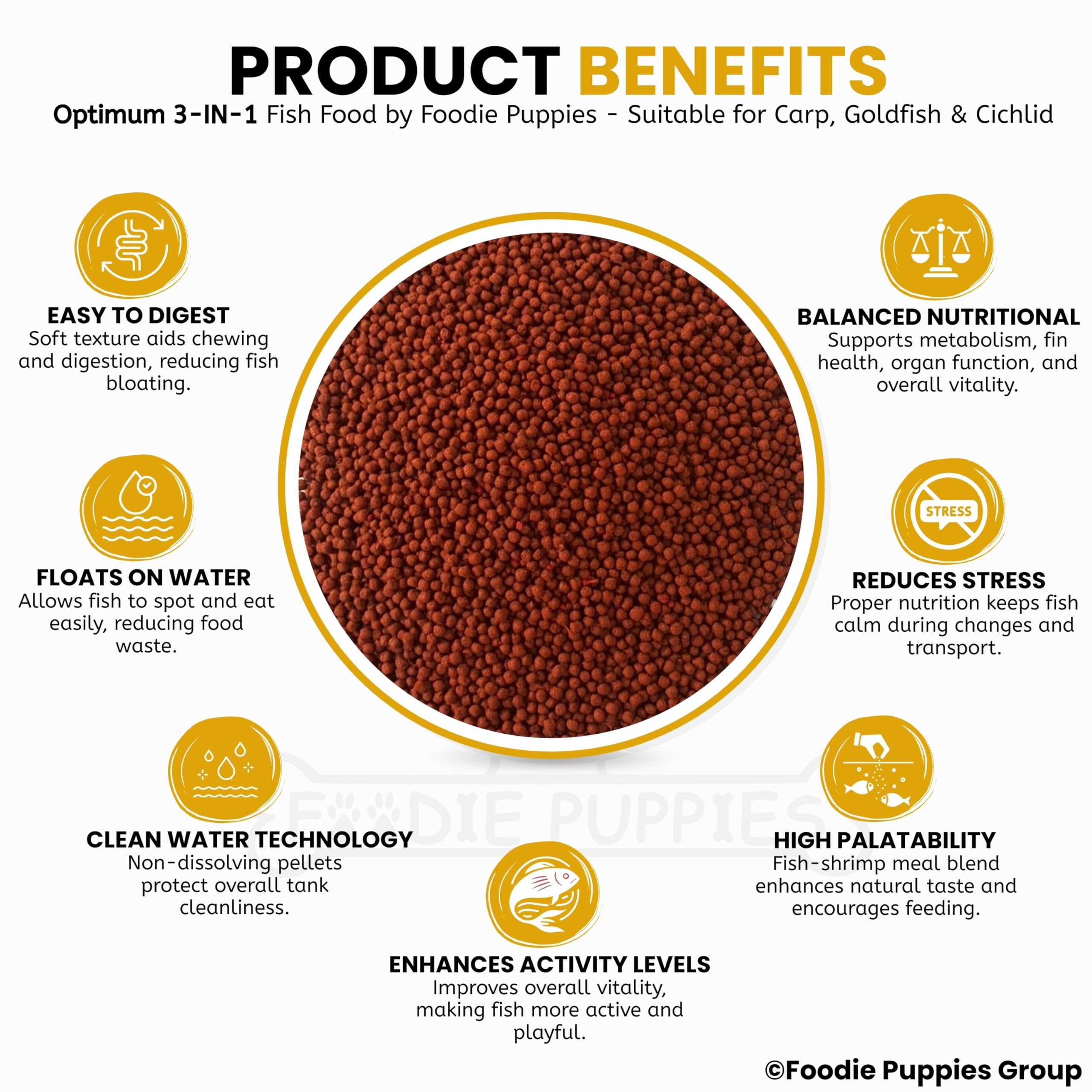 Foodie Puppies Optimum 3-in-1 6% Spirulina Fish Food - 100gm, Pack of 12 | Premium Formula Fish Food for Carp, Goldfish, and Cichlid Spirulina Floating Type Mini Pellet with Free Key Ring 4
